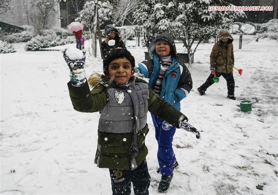 CHINA-JIANGSU-NANJING-SNOWFALL (CN)