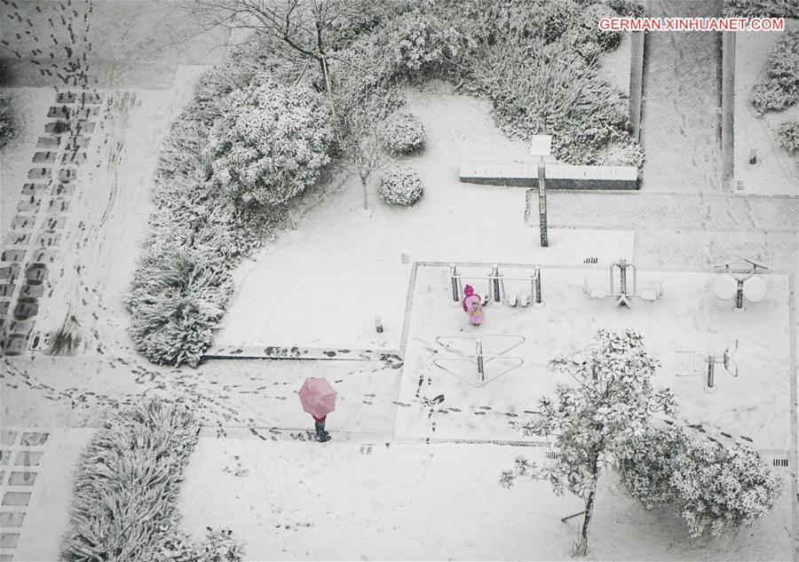 CHINA-JIANGSU-NANJING-SNOWFALL (CN)