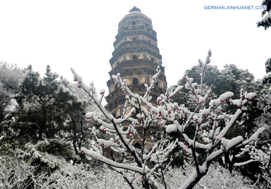 #CHINA-JIANGSU-SUZHOU-SNOW SCENERY (CN)