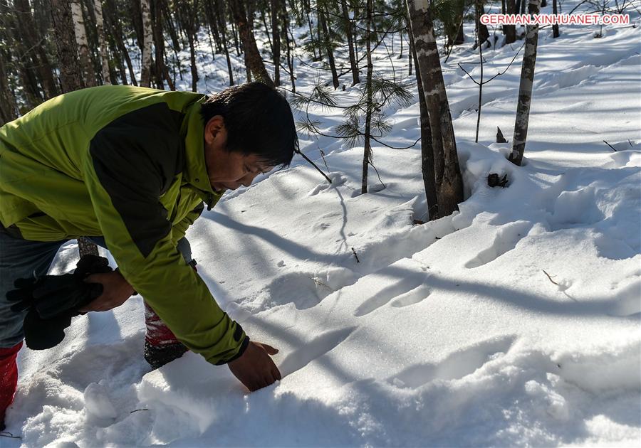 CHINA-JILIN-HUNCHUN-RANGER(CN)