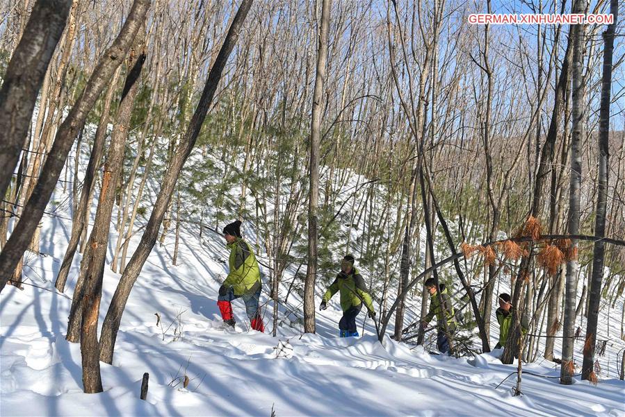 CHINA-JILIN-HUNCHUN-RANGER(CN)