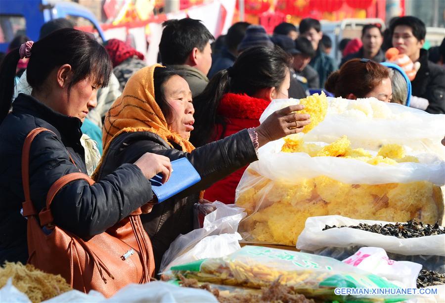 CHINA-HEBEI-SPRING FESTIVAL-RURAL FAIR (CN)