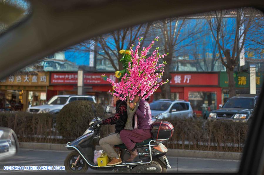 CHINA-TIBET-FESTIVAL-PURCHASES (CN)