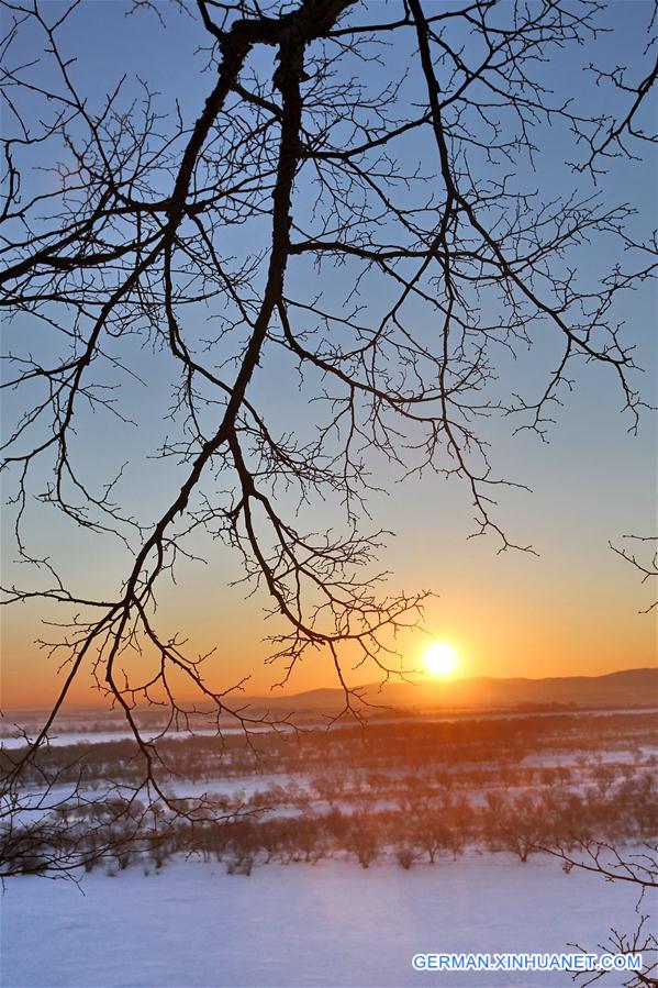 #CHINA-HEILONGJIANG-WETLAND-SCENERY (CN)