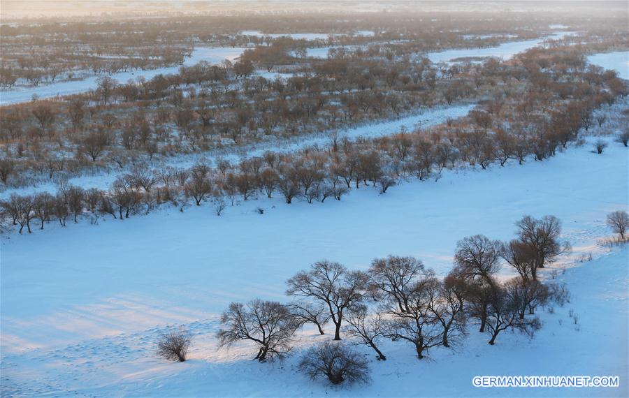 #CHINA-HEILONGJIANG-WETLAND-SCENERY (CN)