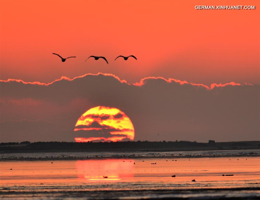 #CHINA-SHANDONG-RONGCHENG-SWANS (CN)