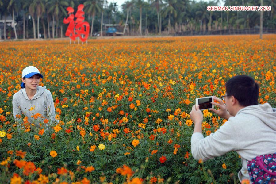 #CHINA-HAINAN-FLOWERS (CN)