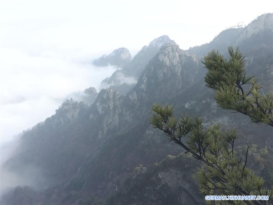 CHINA-HENAN-YAOSHAN MOUNTAIN-SEA OF CLOUDS (CN)