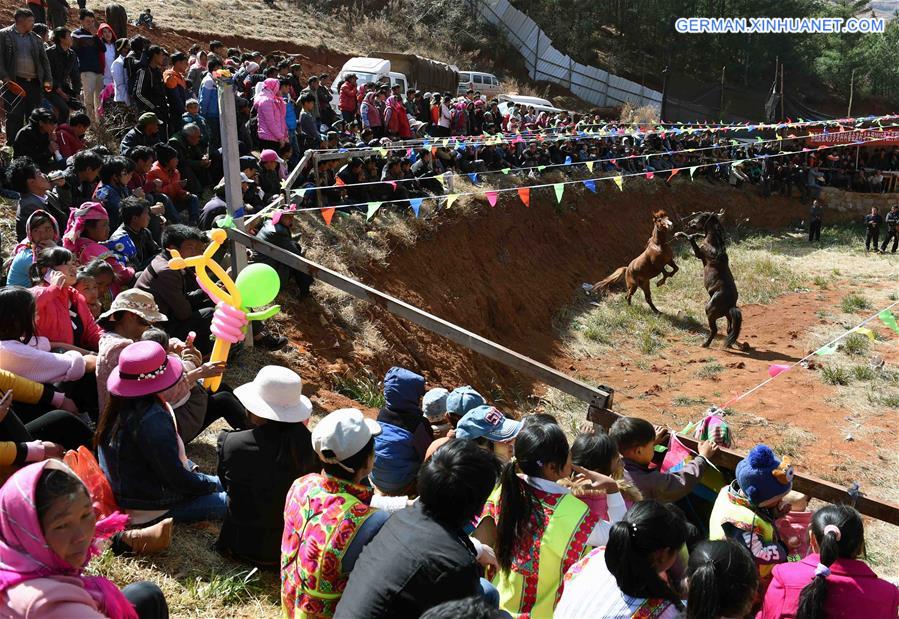 CHINA-YUNNAN-HORSE-BULL-FIGHT (CN)