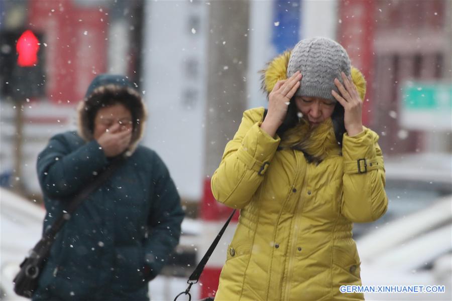 #CHINA-SHANDONG-YANTAI-SNOWFALL (CN)