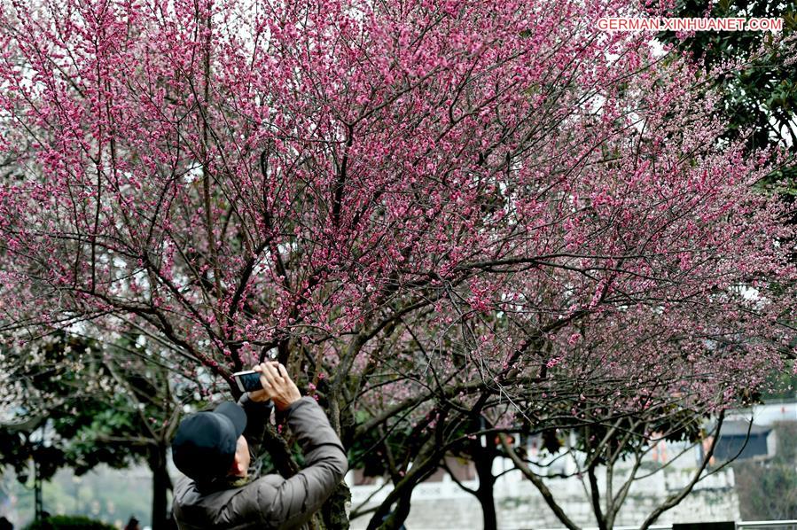 #CHINA-GUIZHOU-GUIYANG-SCENERY(CN)