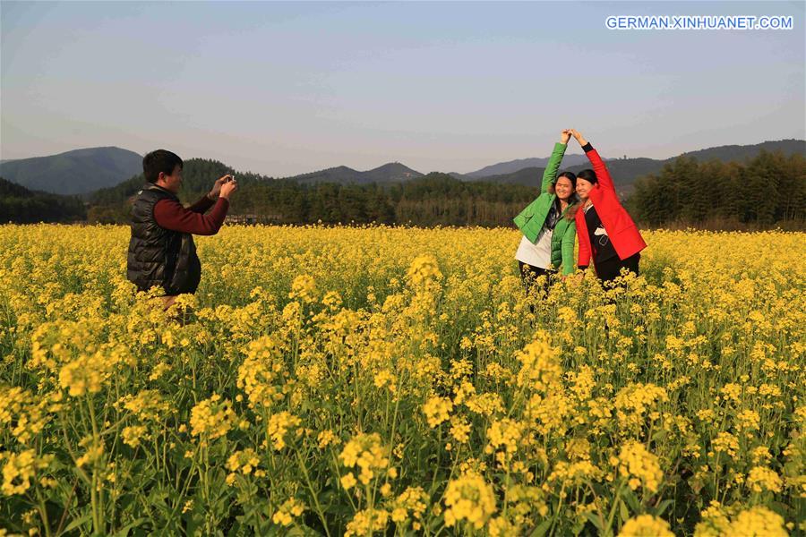 #CHINA-JIANGXI-RAPE BLOSOOM(CN)