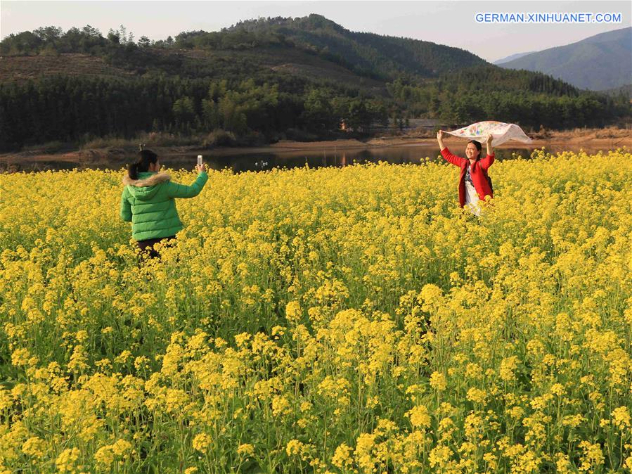 #CHINA-JIANGXI-RAPE BLOSOOM(CN)