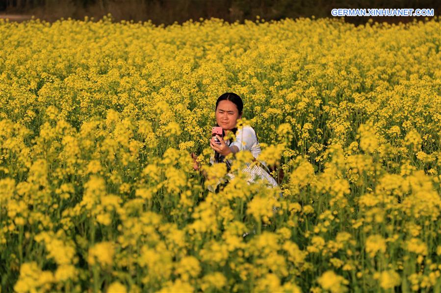 #CHINA-JIANGXI-RAPE BLOSOOM(CN)