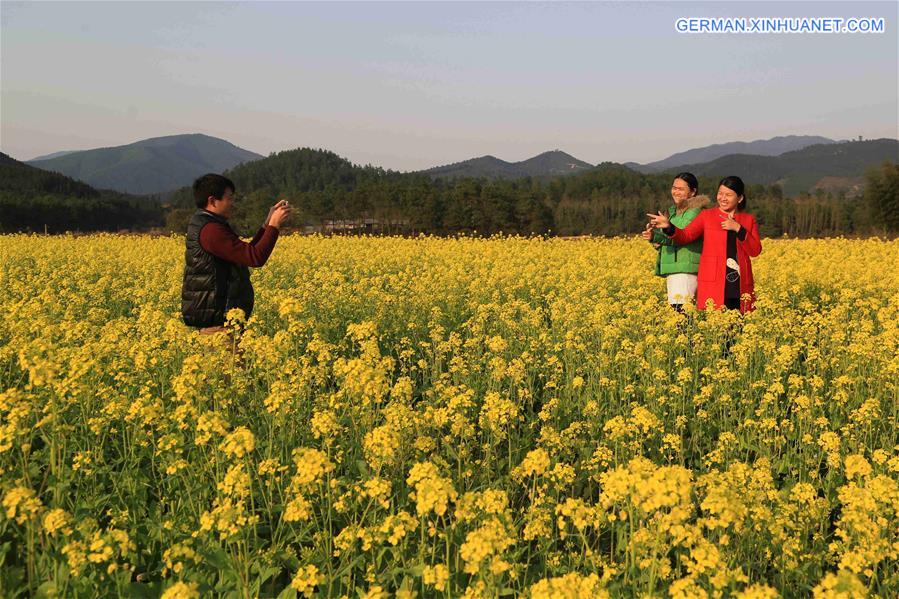 #CHINA-JIANGXI-RAPE BLOSOOM(CN)