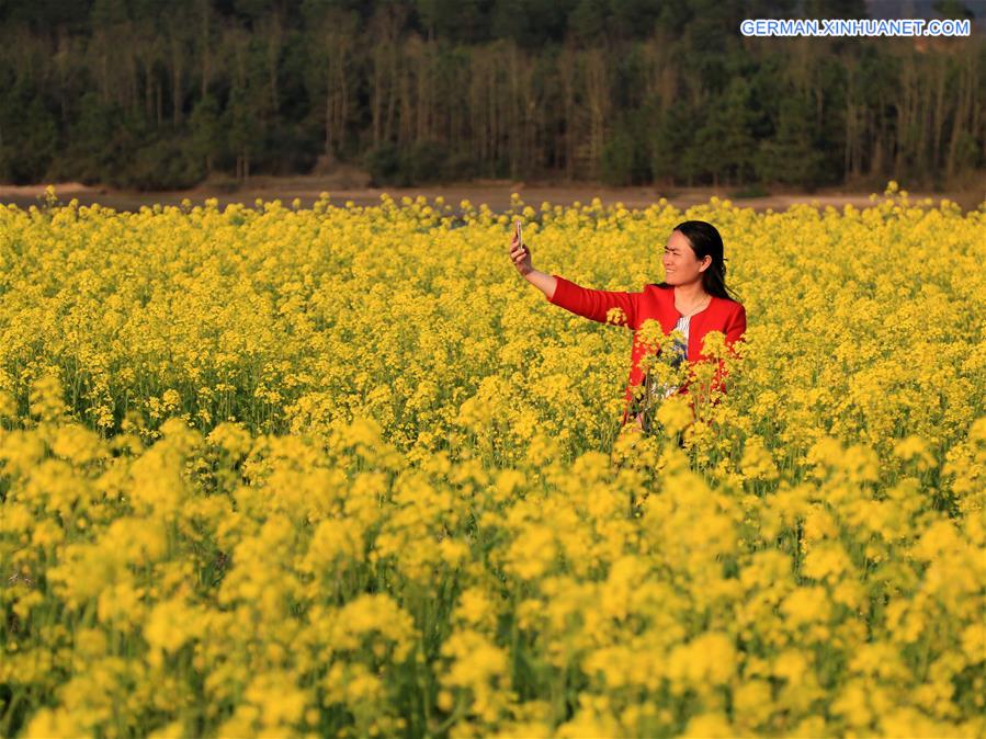 #CHINA-JIANGXI-RAPE BLOSOOM(CN)