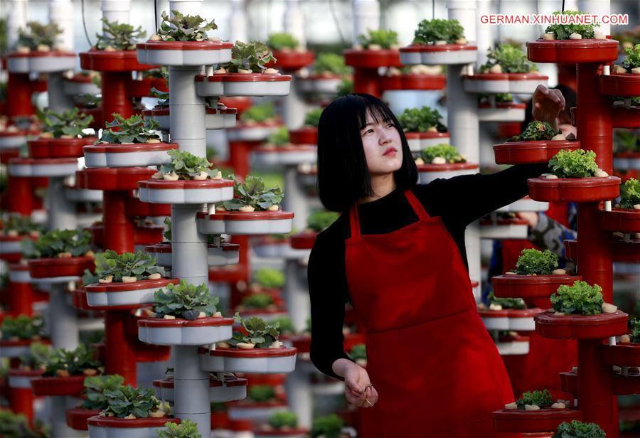 #CHINA-SPRING-PLANTS (CN)