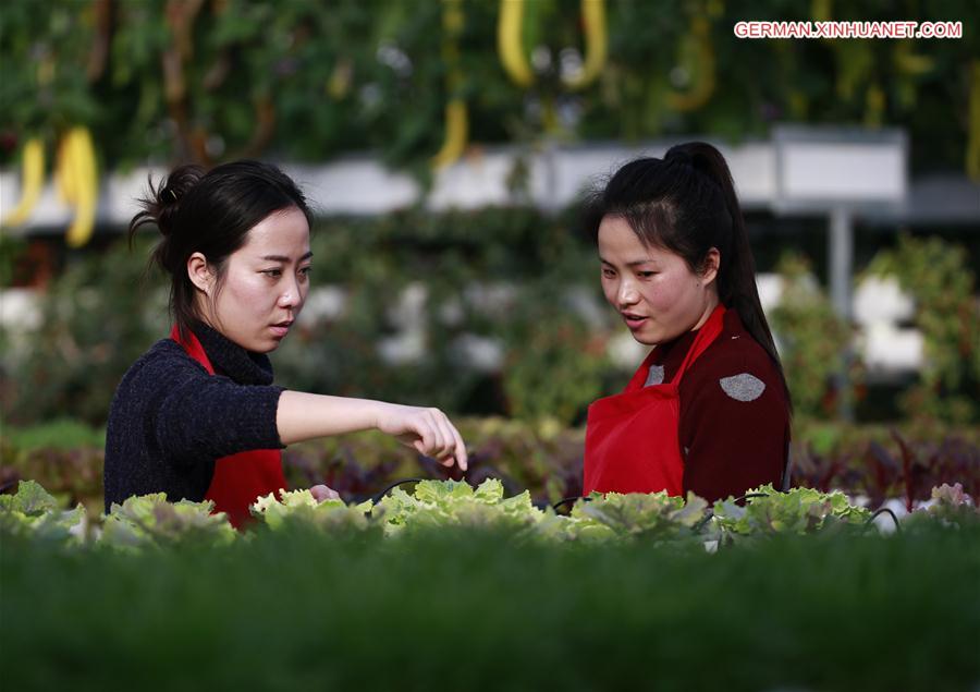 #CHINA-SPRING-PLANTS (CN)