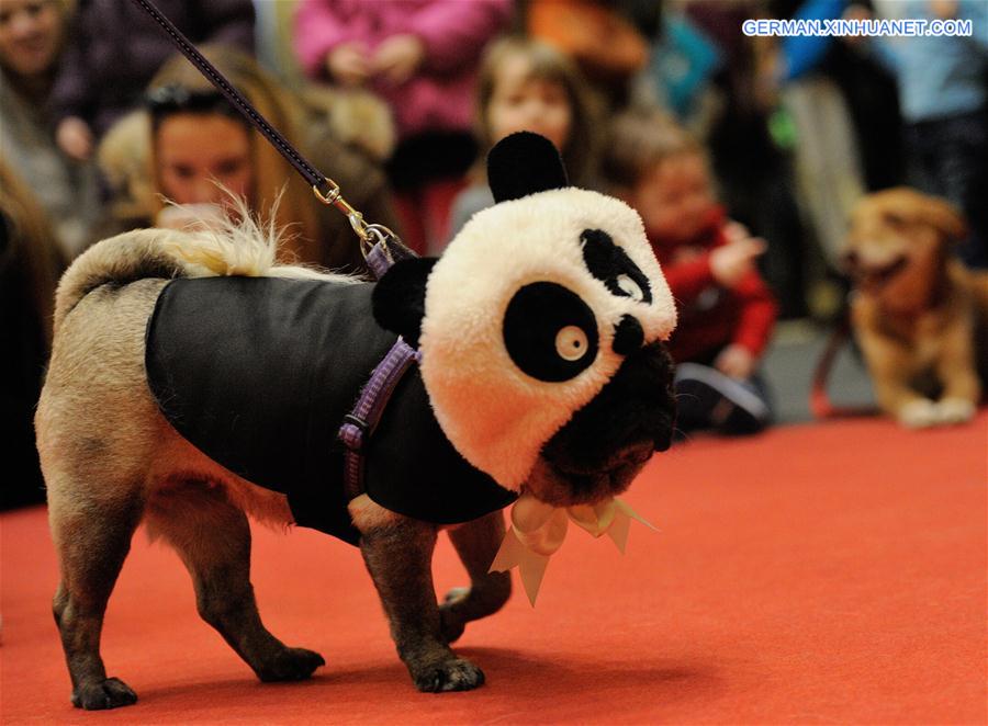 CROATIA-ZAGREB-DOG FASHION SHOW