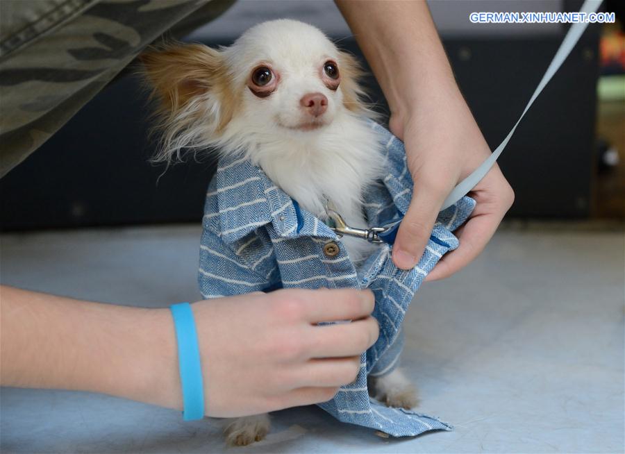 CROATIA-ZAGREB-DOG FASHION SHOW
