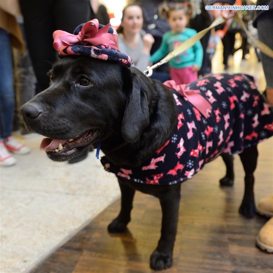 CROATIA-ZAGREB-DOG FASHION SHOW