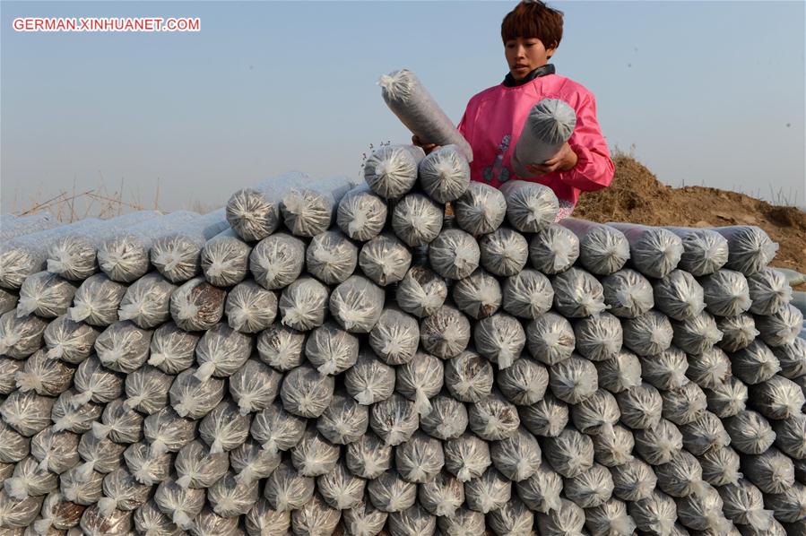 CHINA-HENAN-FARMING (CN) 