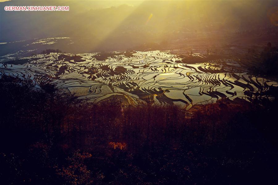 #CHINA-YUNNAN-YUANYANG TERRACES (CN)