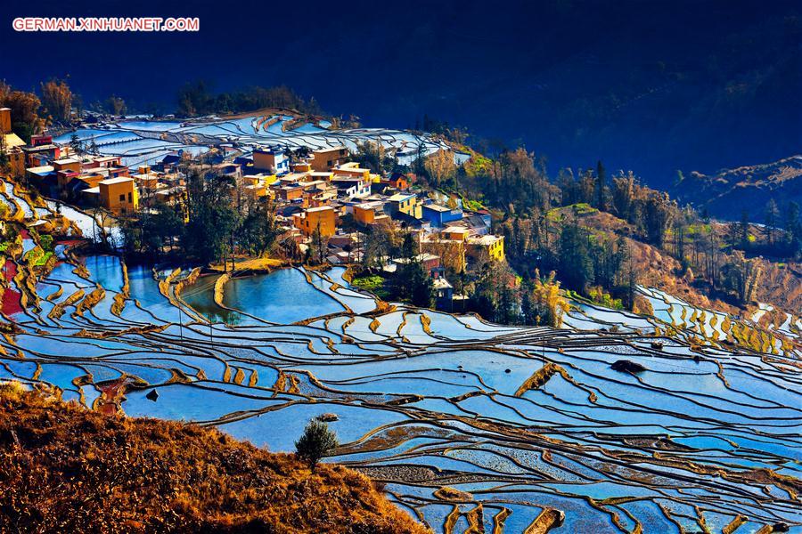 #CHINA-YUNNAN-YUANYANG TERRACES (CN)