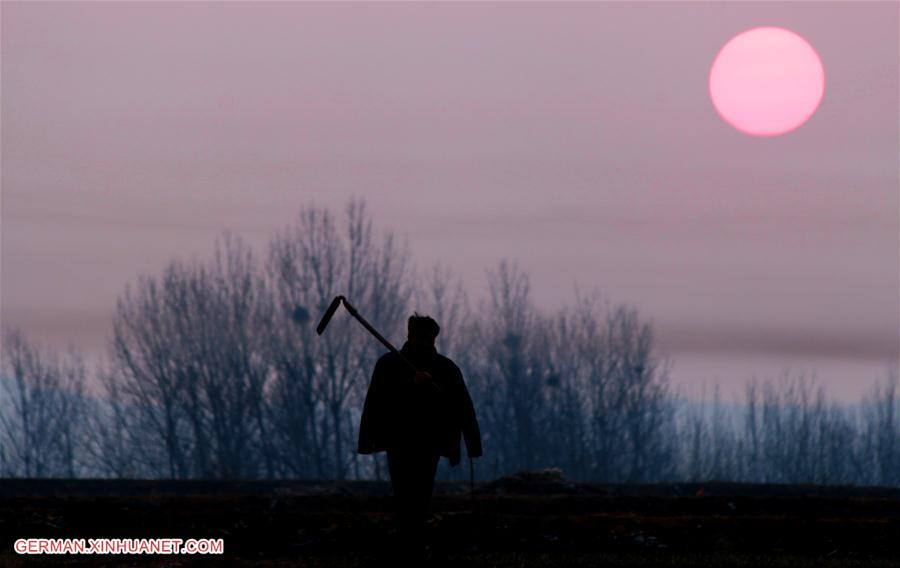 #CHINA-SHANDONG-FARMING (CN)