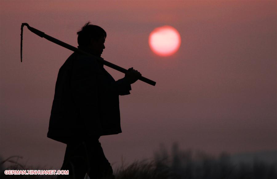 #CHINA-SHANDONG-FARMING (CN)