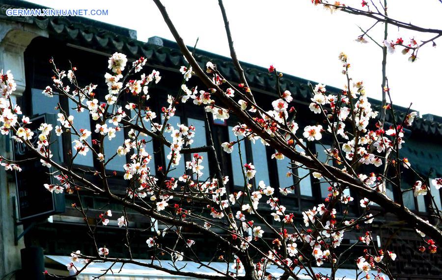 #CHINA-SUZHOU-FLOWERS(CN)