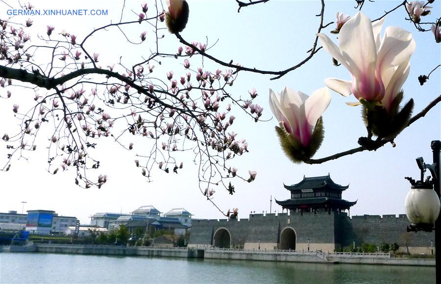 #CHINA-SUZHOU-FLOWERS(CN)