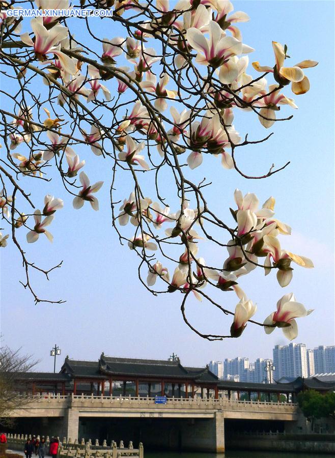 #CHINA-SUZHOU-FLOWERS(CN)