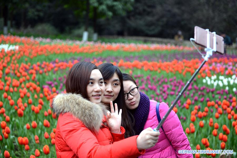 #CHINA-CHONGQING-TULIP(CN)