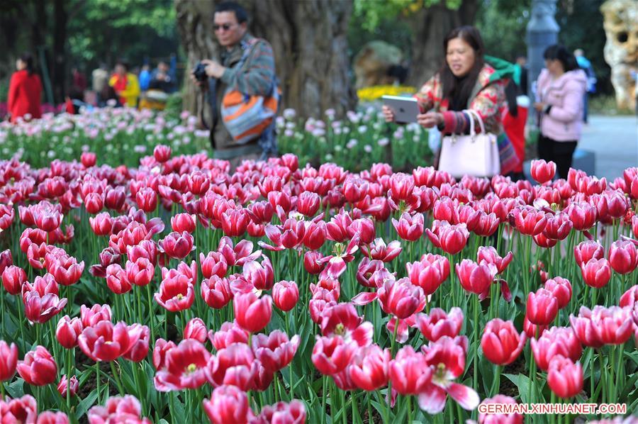 #CHINA-NANNING-TULIP(CN)