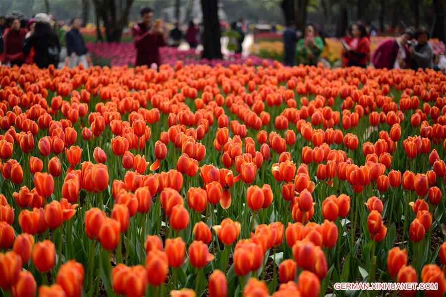 #CHINA-NANNING-TULIP(CN)