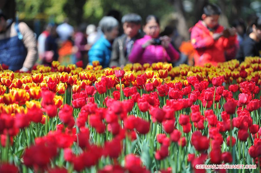 #CHINA-NANNING-TULIP(CN)