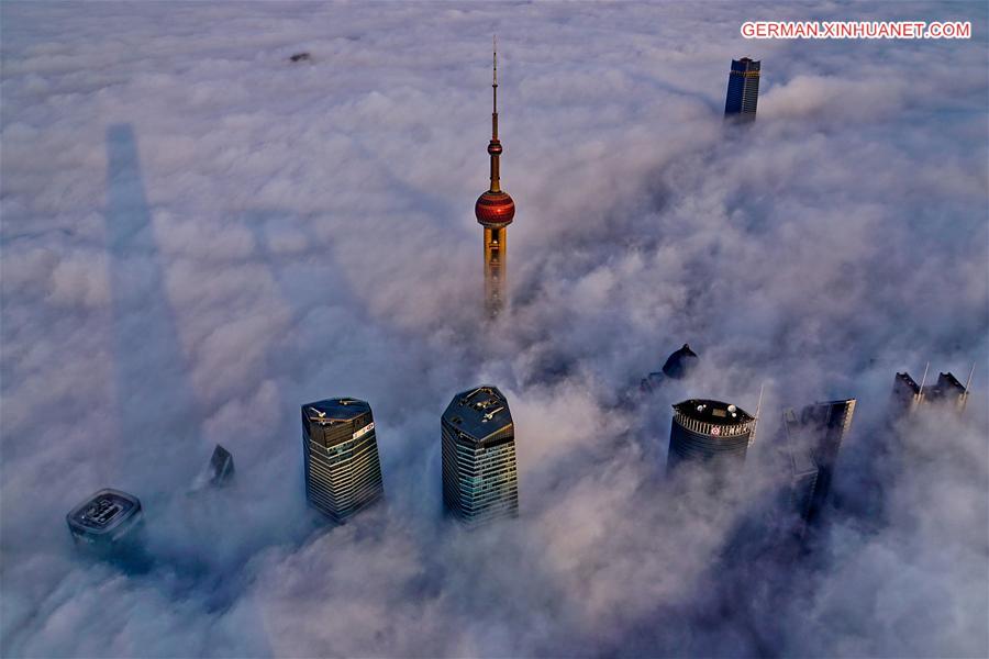 WEEKLY CHOICES OF XINHUA PHOTO