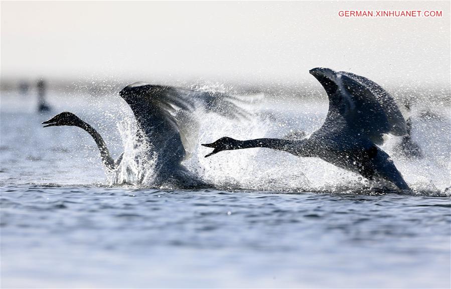 WEEKLY CHOICES OF XINHUA PHOTO