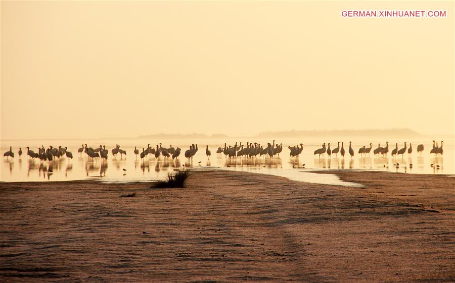 #CHINA-GUIZHOU-BIRDS-MIGRATION (CN)