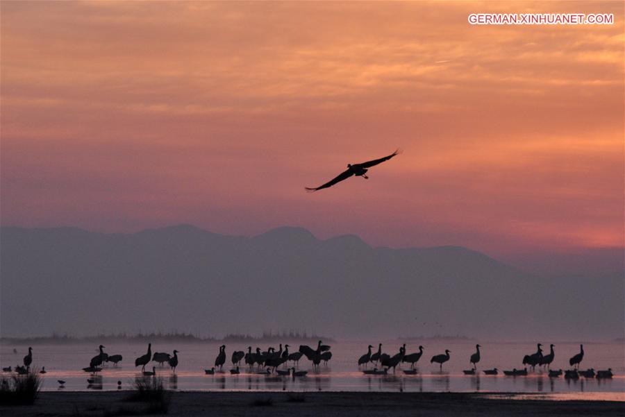 #CHINA-GUIZHOU-BIRDS-MIGRATION (CN)