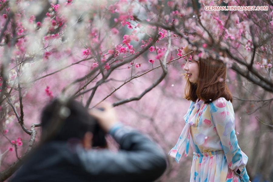 #CHINA-NANJING-PLUM BLOSSOM(CN)