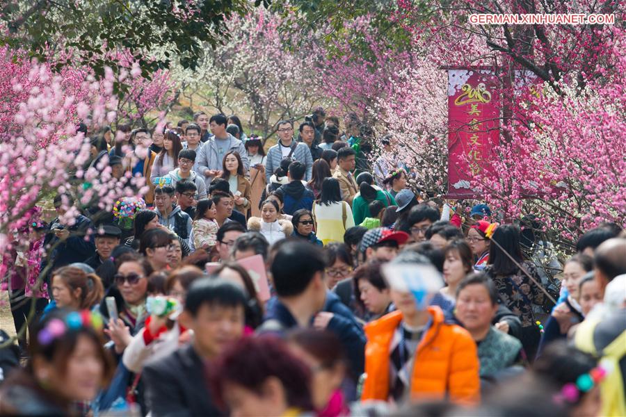 #CHINA-NANJING-PLUM BLOSSOM(CN)