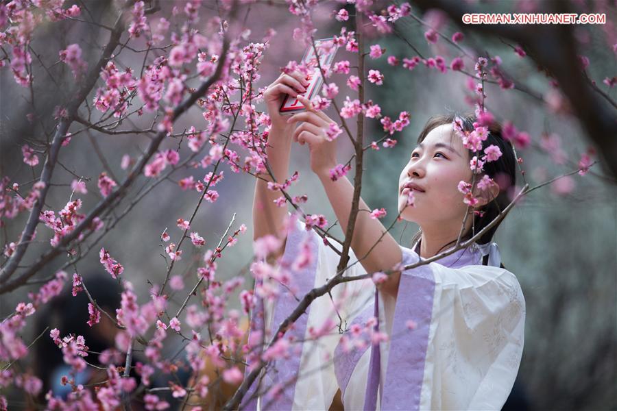 #CHINA-NANJING-PLUM BLOSSOM(CN)