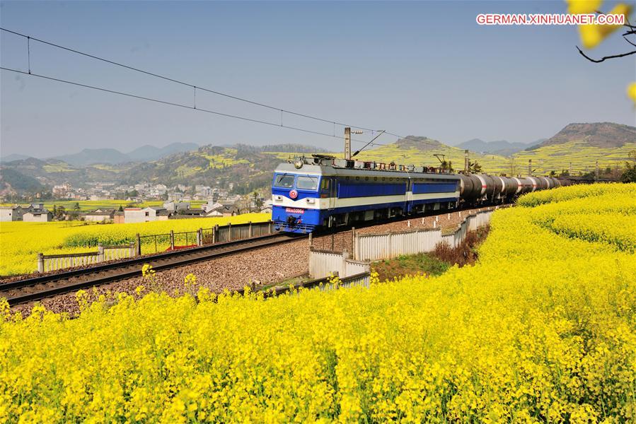 #CHINA-YUNNAN-LUOPING-RAPE FLOWERS (CN)