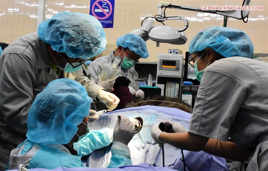 #CHINA-TAIWAN-PANDA-ARTIFICIAL INSEMINATION (CN)