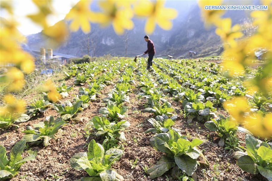 #CHINA-SPRING SCENERY (CN)