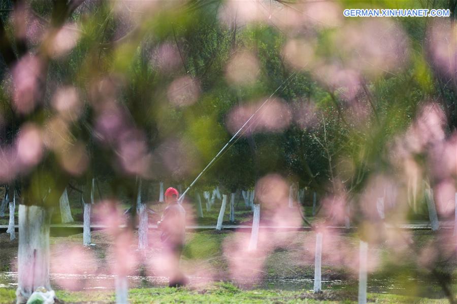 #CHINA-SPRING SCENERY (CN)