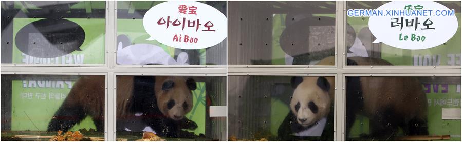 SOUTH KOREA-INCHEON-CHINA-GIANT PANDAS-ARRIVAL