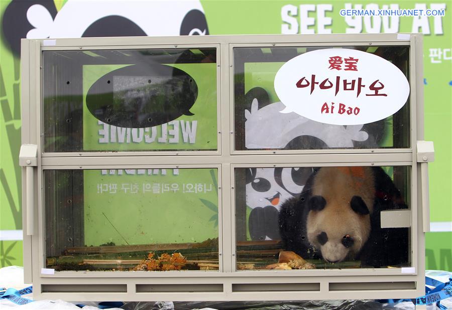 SOUTH KOREA-INCHEON-CHINA-GIANT PANDAS-ARRIVAL